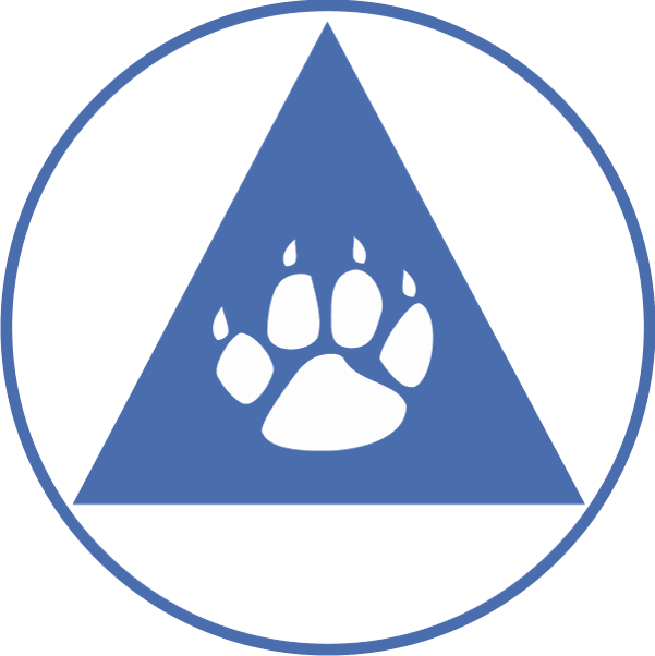 Lions Logo